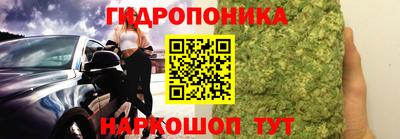 крисы Обнинск