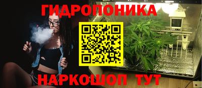 крисы Обнинск