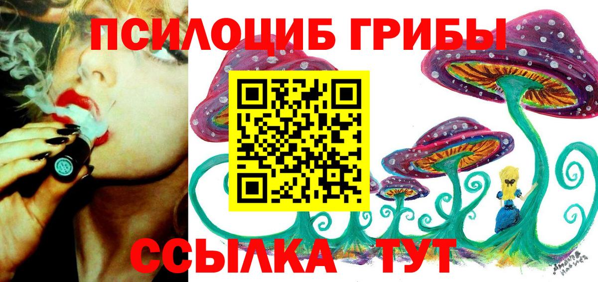 Псилоцибиновые грибы Cubensis  Вход с VPN  Ревда 